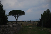 Clicca qui per vedere l'immagine in dettaglio